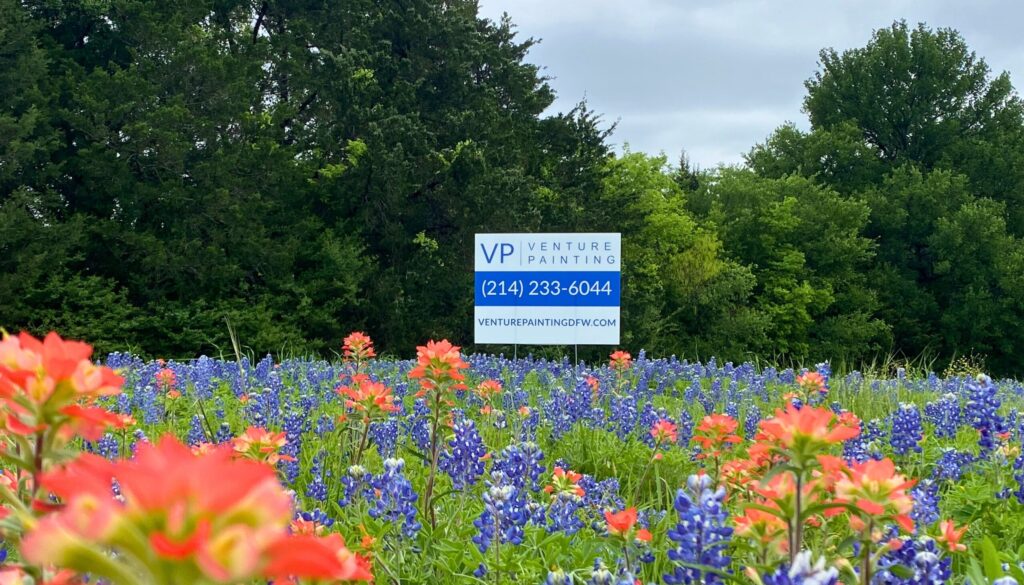 Bluebonnets with painting company lawn sign